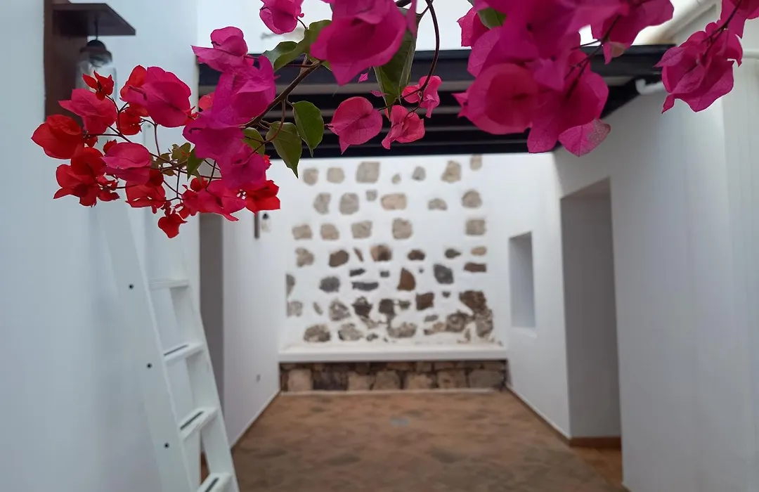 Casa Mocan-1