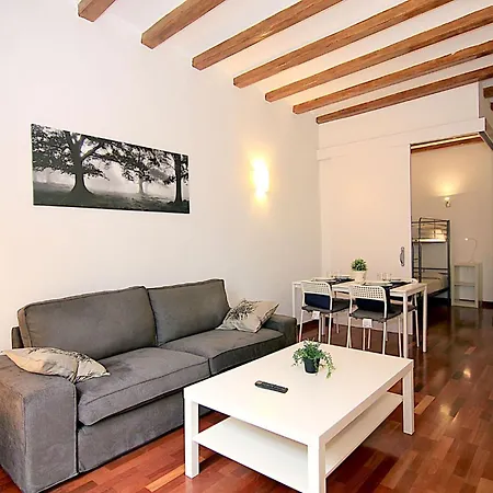 Muntanya - Apartments & One With Terrace Next To Sagrada Familia-3