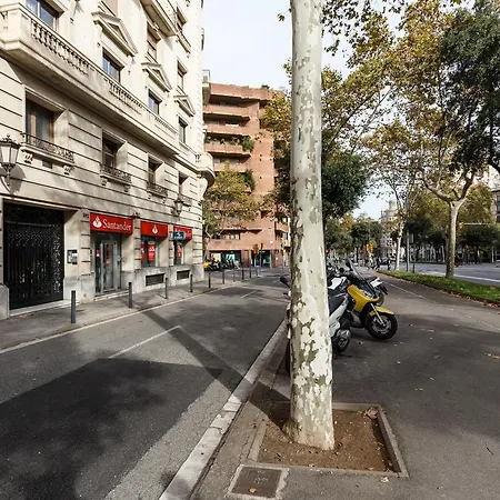 Sweet Bcn Traveller House-3